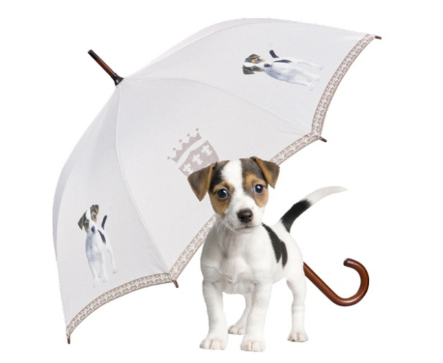 Deštník Jack Russell
