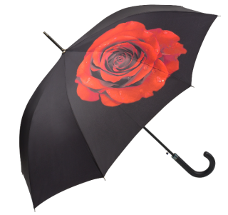 Deštník Harold Feinstein - Růže